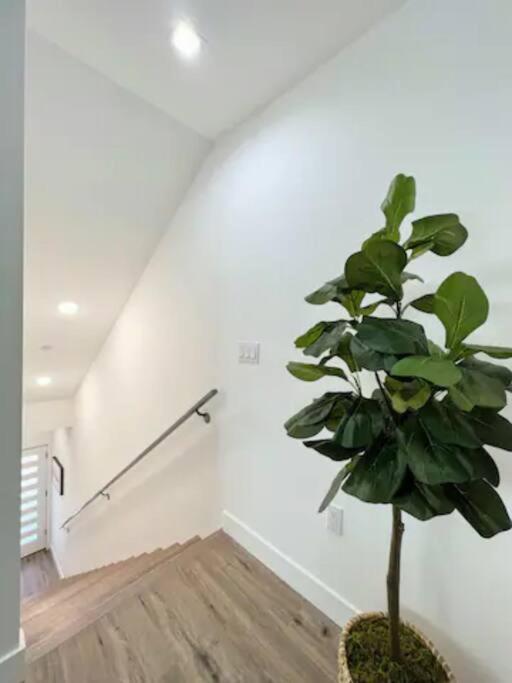 4Br Townhouse In Koreatown Los Angeles Kültér fotó
